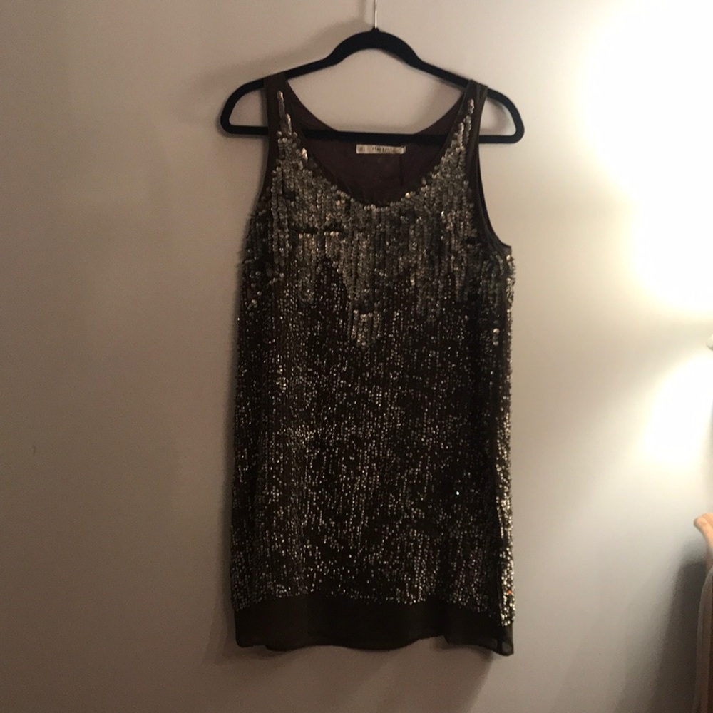 Zara shimmer dress *never worn with tags*